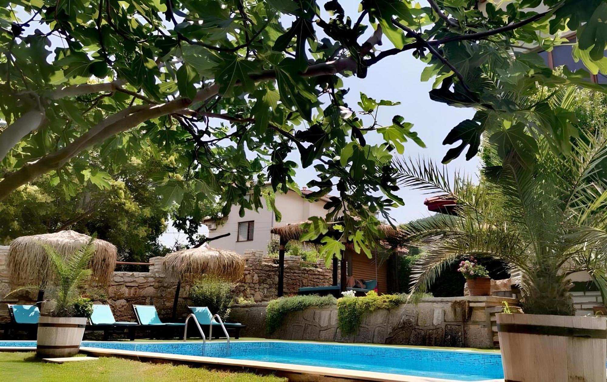 Villa Komitata-Pool And Jacuzzi Balçık Dış mekan fotoğraf